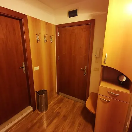 Brinovec Apartment *