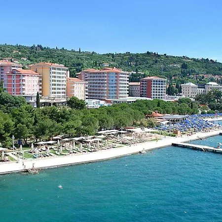 Brinovec *
